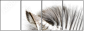 17246984