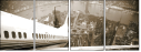 17964481