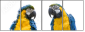 18738718