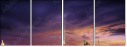 20136048