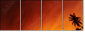 20708520