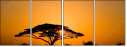 2165695