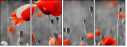 22284891