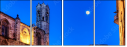 23156604