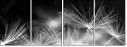 23180311