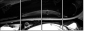 23943904