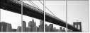 24117889
