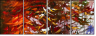 24600488