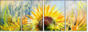 24625631