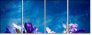 249730