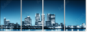 25231619