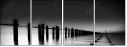 25660974