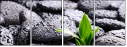 25878336