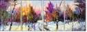 26905857