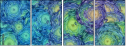 269624895
