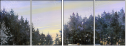 27865085