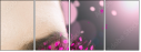28365450