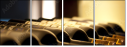 28820813
