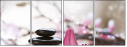 29082526