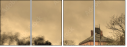 29517691
