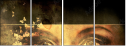 30149224