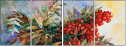 30276026