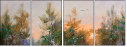 30276952