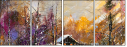30278579