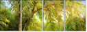 31192565