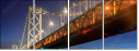 313371516