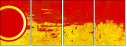 32019447