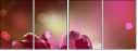 32312026