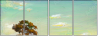 32752638