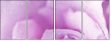 33326432
