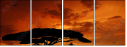 33526159