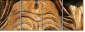 35042971