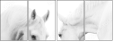 35103653