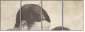 35225919