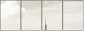 3629029
