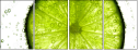 36604434