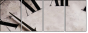 3950638