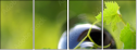 4185786