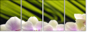 42014292