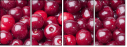 43026743