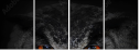 43647000