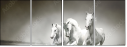 44040199