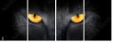 44285895
