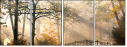 44630410