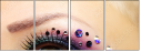 44695415