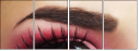 45479444